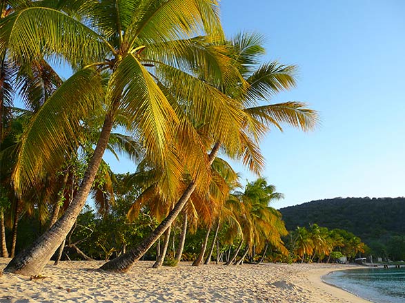 Escale St Vincent et les Grenadines (Béquia)